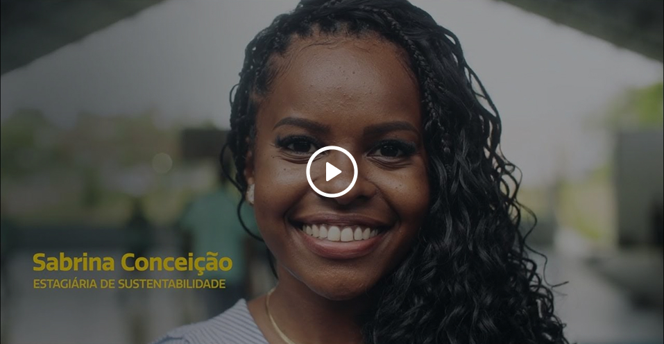 Relatório de Sustentabilidade 2024